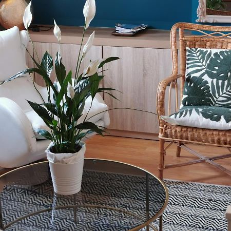 Magnifique Deux Pieces Au Calme Apartment Deauville Ngoại thất bức ảnh